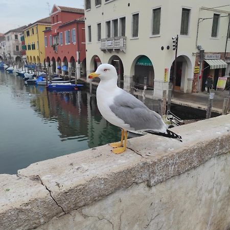 Ca' Dell'Angelo Bed & Breakfast Chioggia Luaran gambar